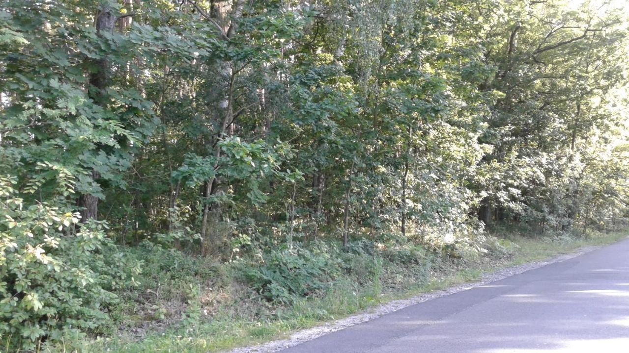 Pensjonat Kaprys Jesionka Esterno foto
